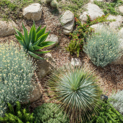 jardin extérieur 