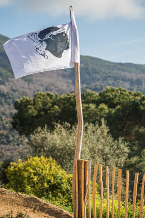 drapeau Corse